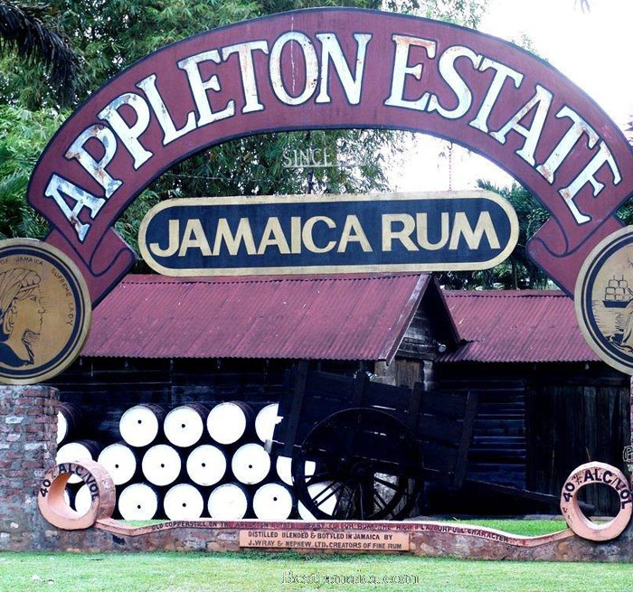 MONTEGO BAY Appleton Rum Tour