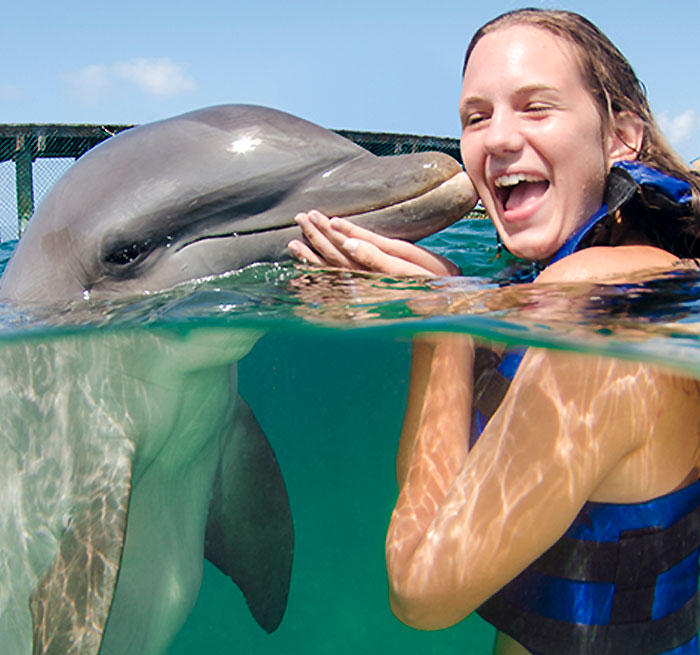 MACAO Dolphin ENCOUNTER