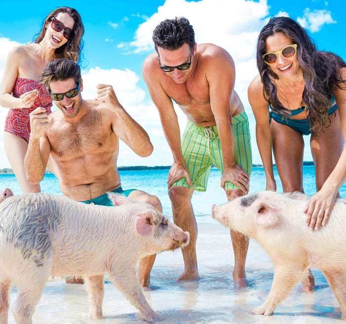 COFRESI - MAIMON Paradise & Pigs