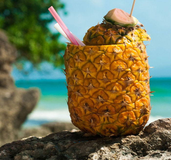 Discover Samana From Boca Chica | Boca Chica, Dominican Republic Excur
